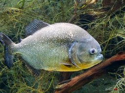 Tiergarten Schönbrunn am 23.03.2023